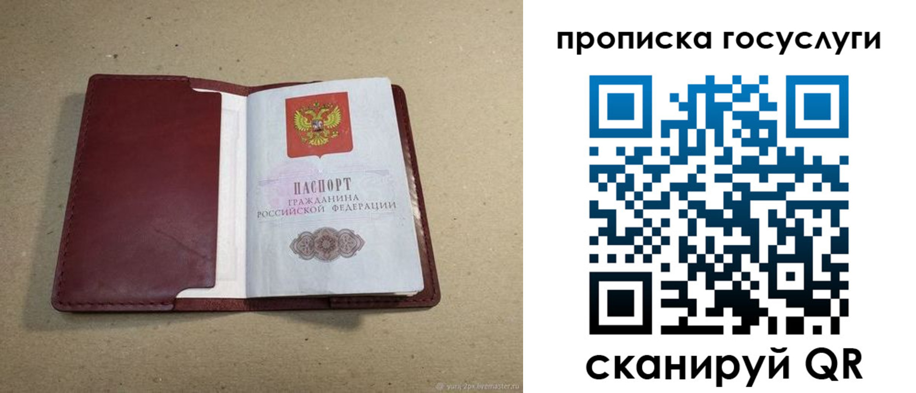 прописка поиск в Белой Холунице